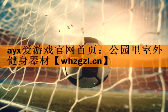 ayx爱游戏官网首页：公园里室外健身器材