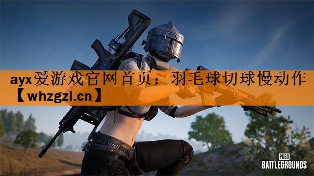 羽毛球切球慢动作